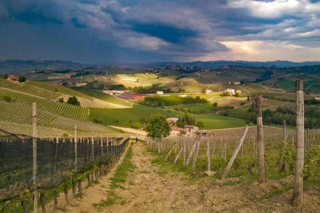 Ex Ostu Impero: Vino, Tartufo Ed Ospitalita Διαμέρισμα La Morra Εξωτερικό φωτογραφία